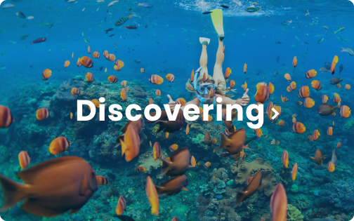 Discover Your Next Destination Content